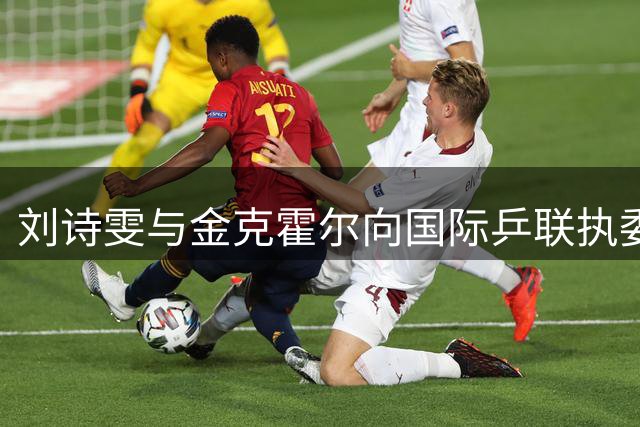 刘诗雯与金克霍尔向国际乒联执委会述职
