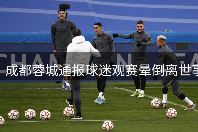 成都蓉城通报球迷观赛晕倒离世事件 俱乐部表达深切哀悼