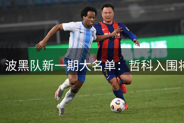 波黑队新一期大名单：哲科入围将迎国家队告别战